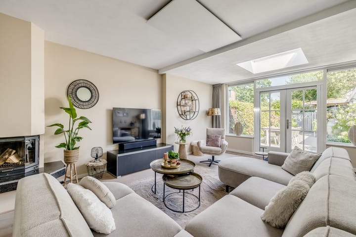 Foto 8 van Sneeuwgans 7