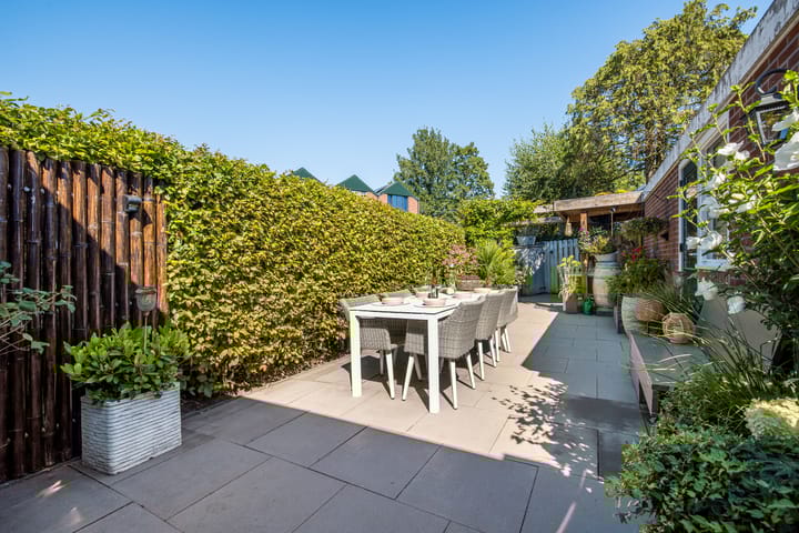 Foto 10 van Sneeuwgans 7