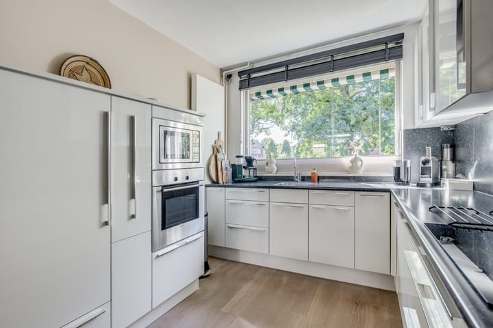 Foto 19 van Sneeuwgans 7