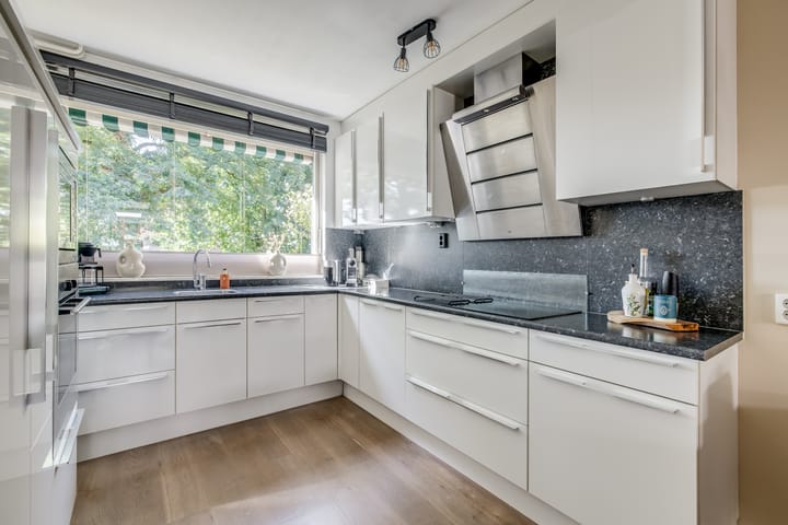 Foto 18 van Sneeuwgans 7