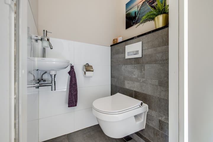 Foto 22 van Sneeuwgans 7