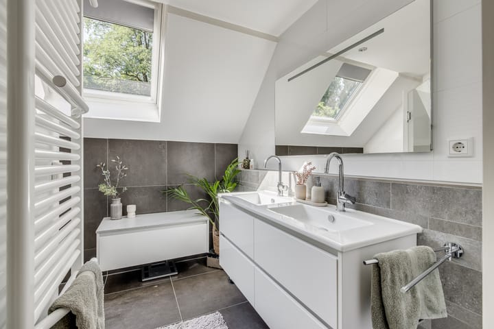 Foto 31 van Sneeuwgans 7