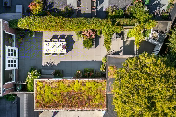 Foto 42 van Sneeuwgans 7