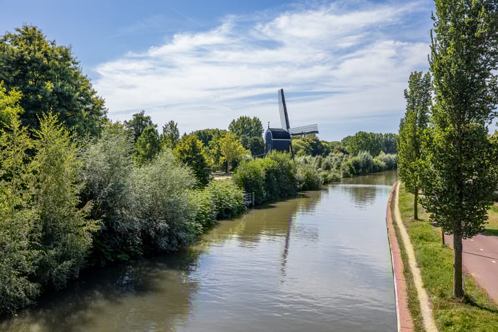 Foto 45 van Sneeuwgans 7