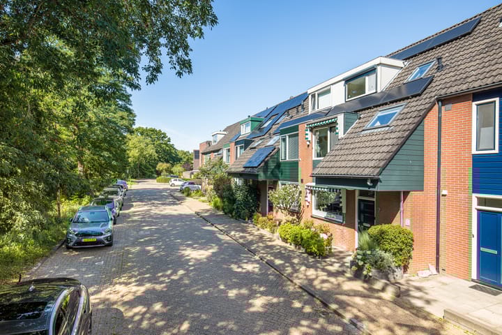 Foto 46 van Sneeuwgans 7