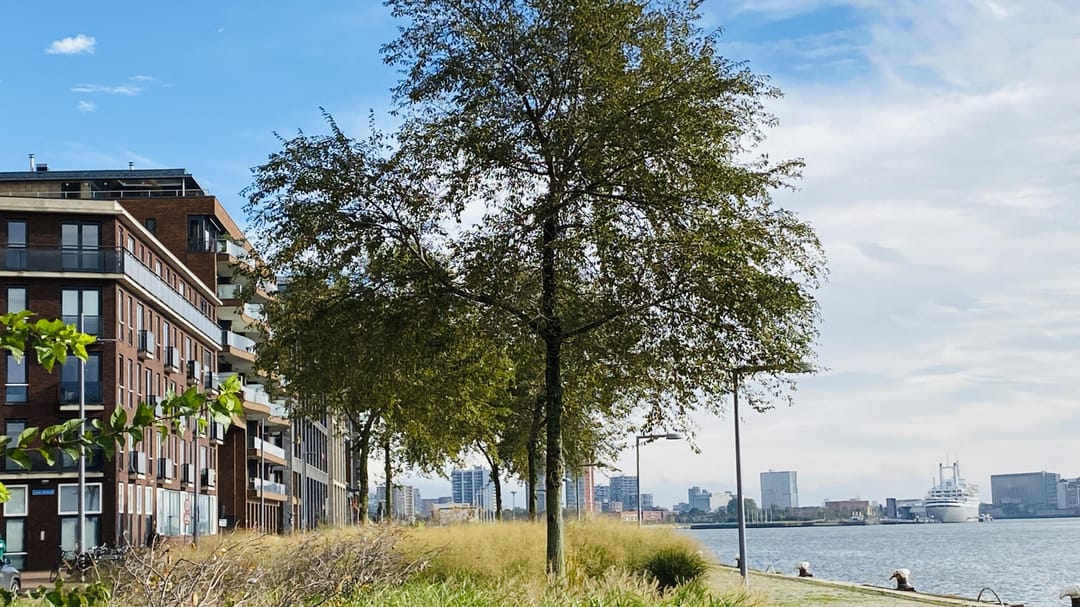 Foto 17 van Loods Holland 22