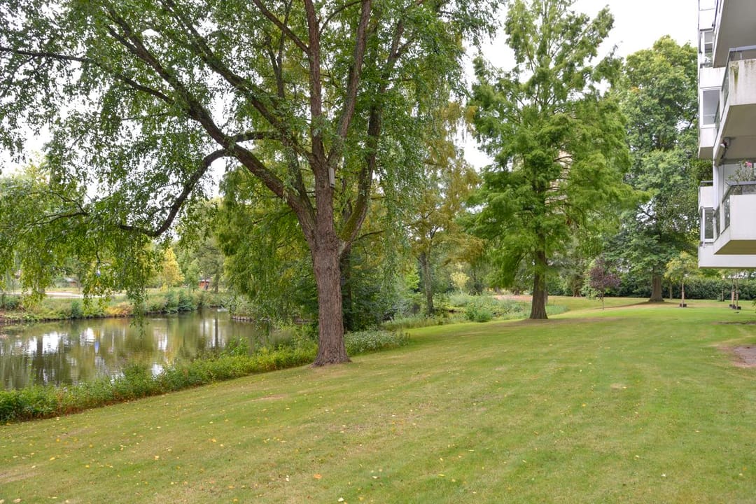 Foto 2 van Veenbesstraat 142