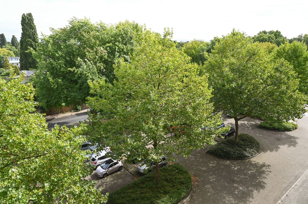 Foto 13 van Veenbesstraat 142