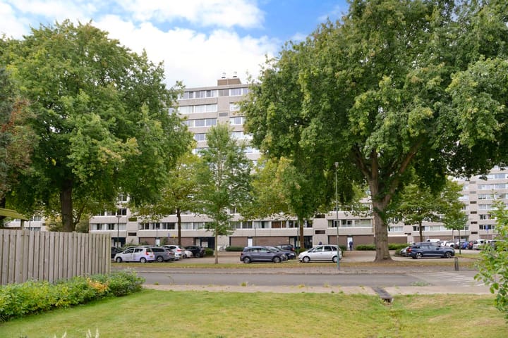 Foto 27 van Veenbesstraat 142