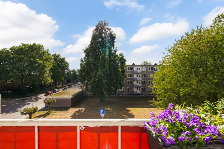 Foto 33 van Europalaan 369