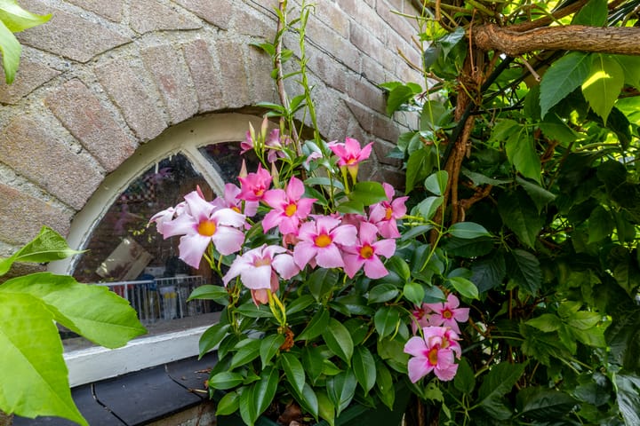 Foto 40 van Catharinastraat 11