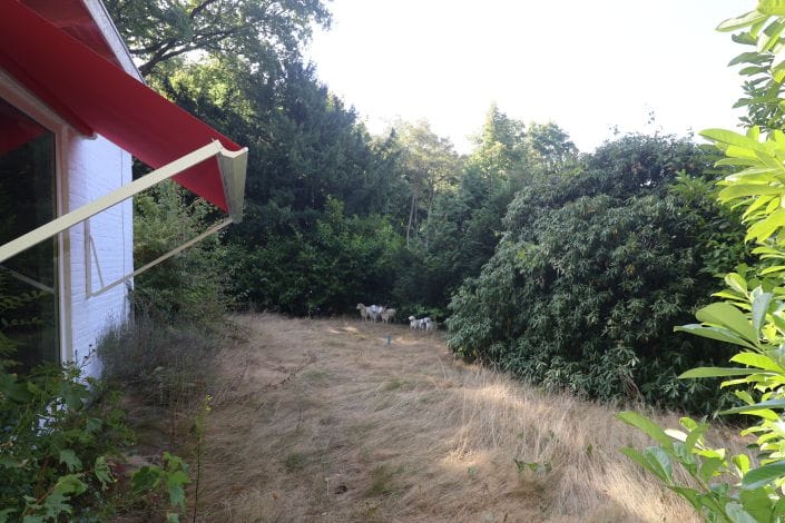 Foto 9 van Op de Berg 6