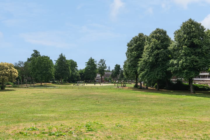 Foto 21 van Oudenoord 511