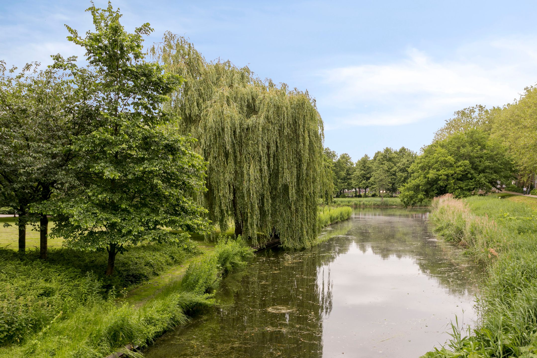 Foto 33 van Bartholomeus Diazstraat 3-1