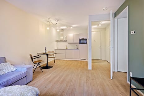 Suze Robertsonstraat 29 tertiary image