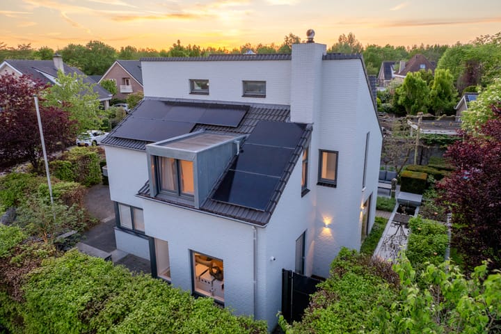 Foto 2 van Rietgors 3