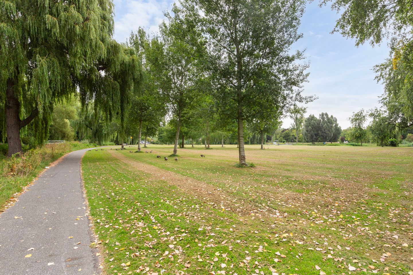 Foto 35 van Doornenburg 29