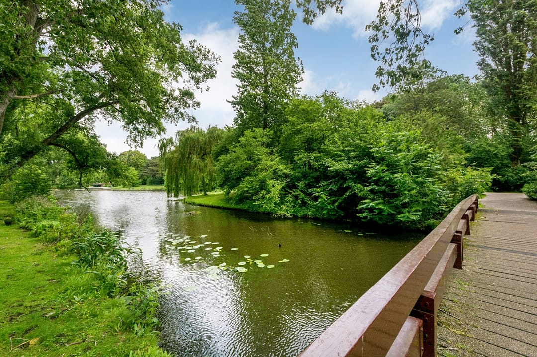 Foto 47 van Parnassusweg 15-3