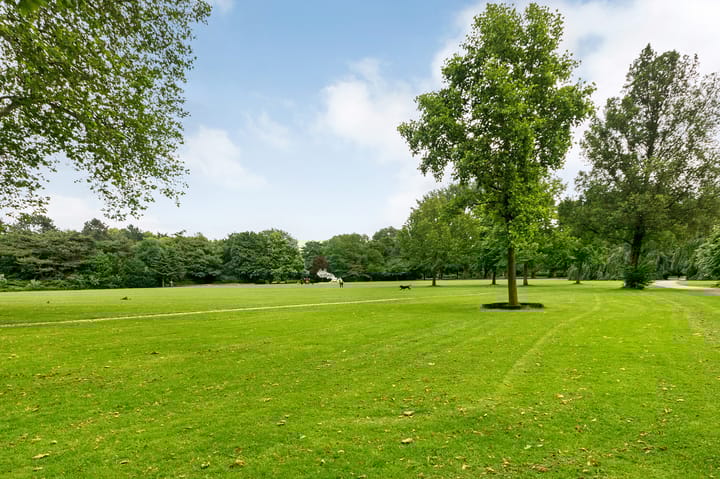 Foto 48 van Parnassusweg 15-3