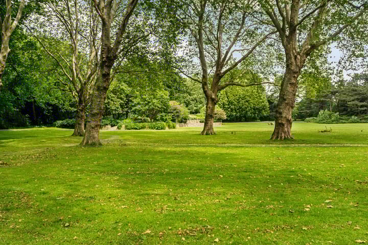 Foto 49 van Parnassusweg 15-3