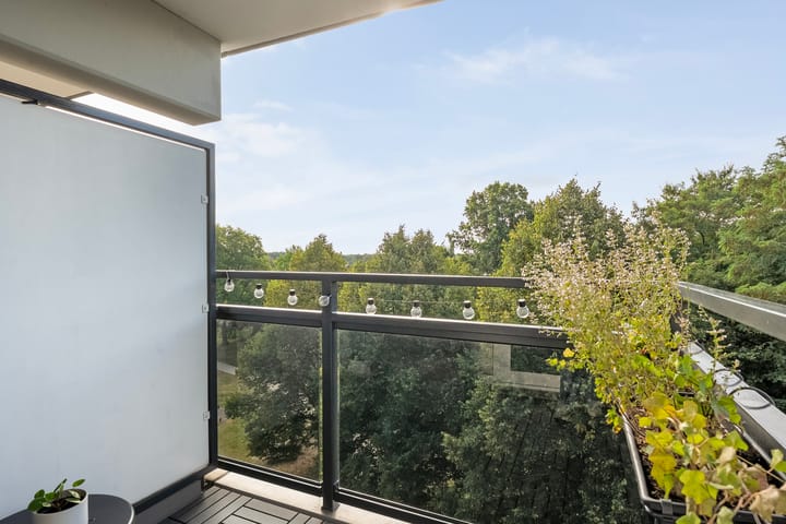 Foto 3 van Hagenborgh 209