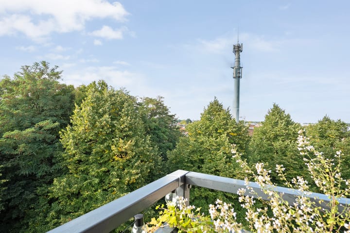 Foto 17 van Hagenborgh 209