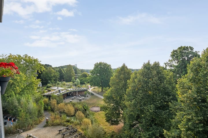 Foto 25 van Hagenborgh 209