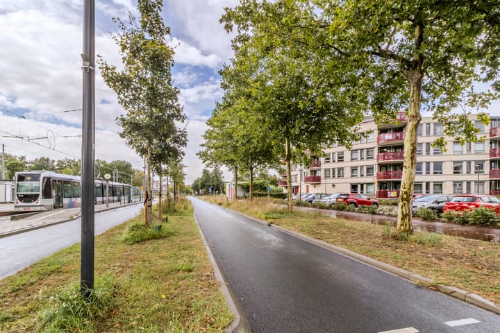 Photo 27 of Kamilleveld 57