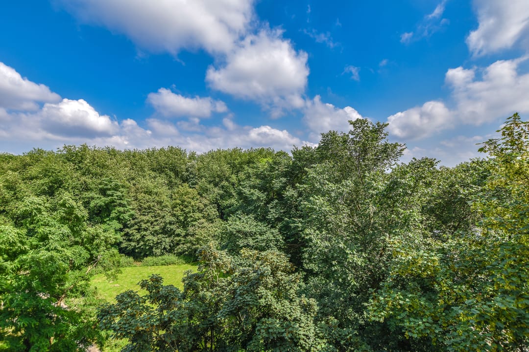 Photo 17 of Nachtwachtlaan 65