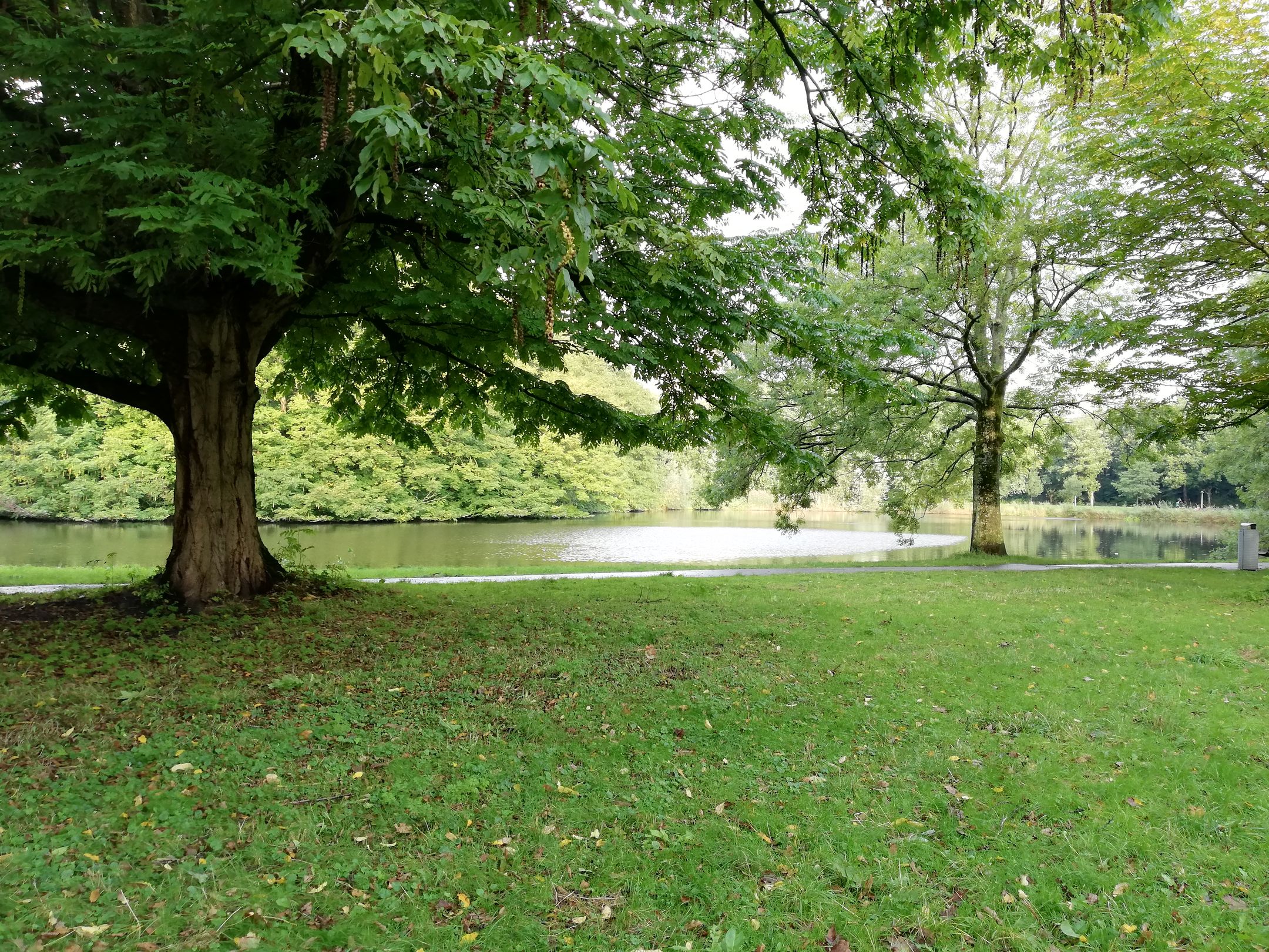 Photo 21 of Nachtwachtlaan 65