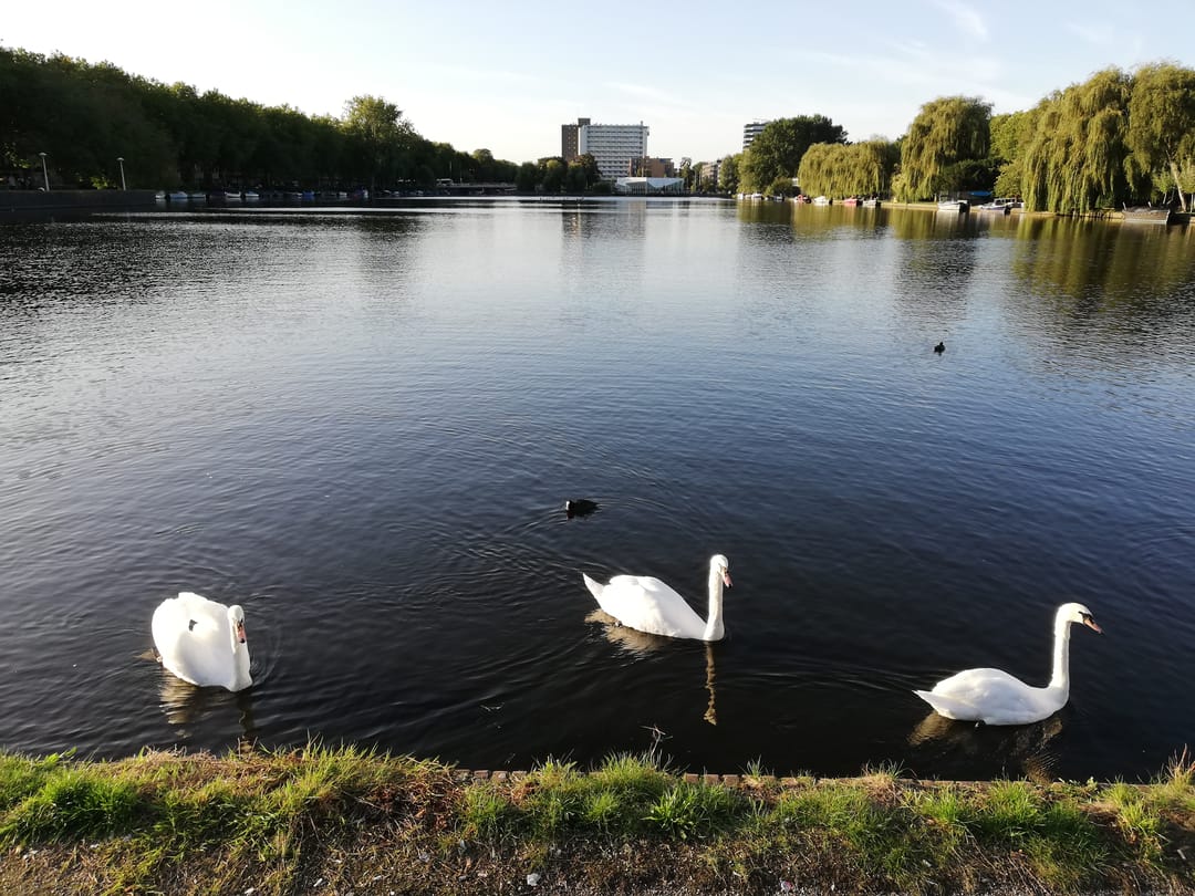 Photo 22 of Nachtwachtlaan 65