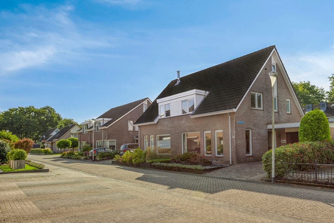 Photo 1 of Wilgeroosje 42