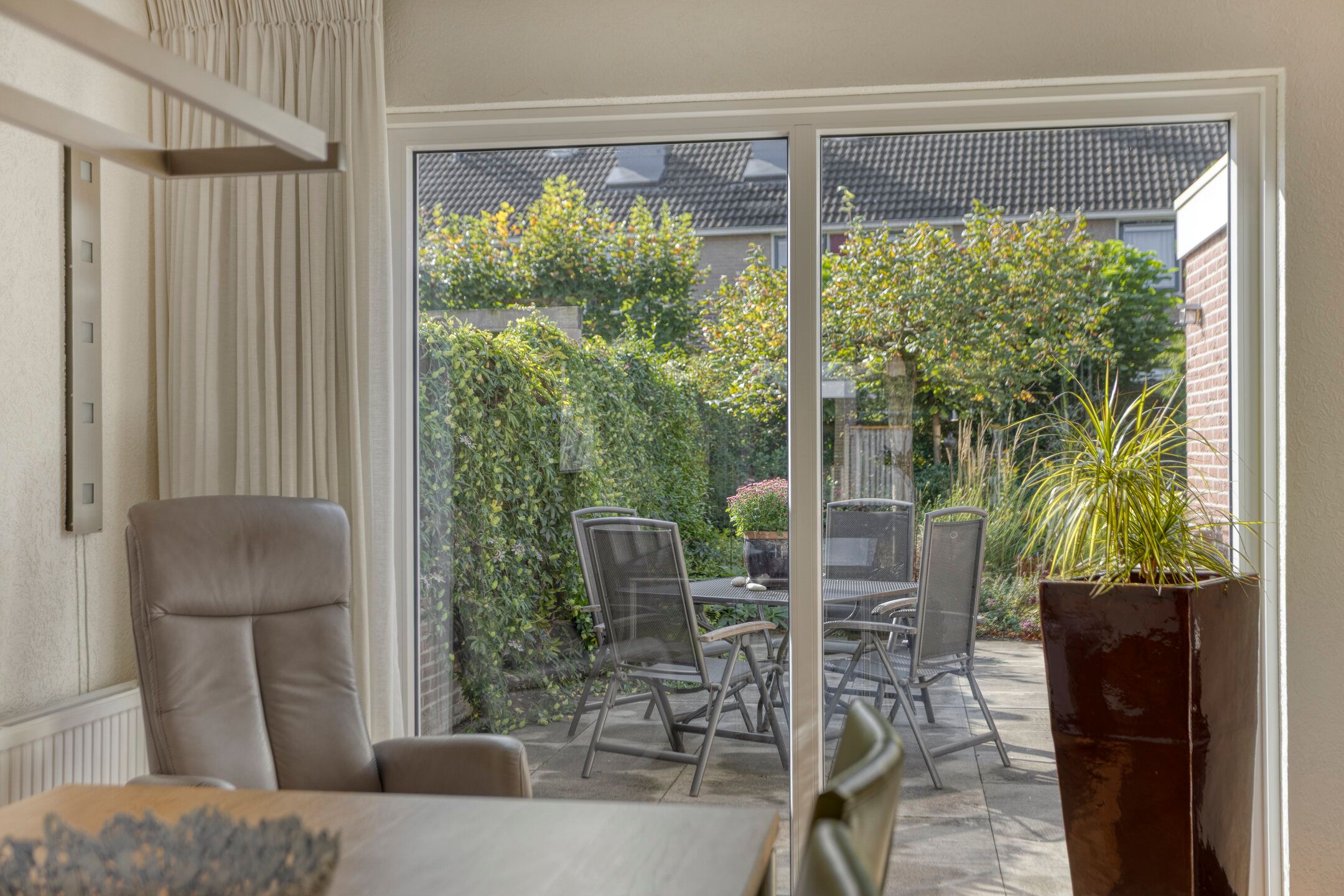 Photo 12 of Wilgeroosje 42