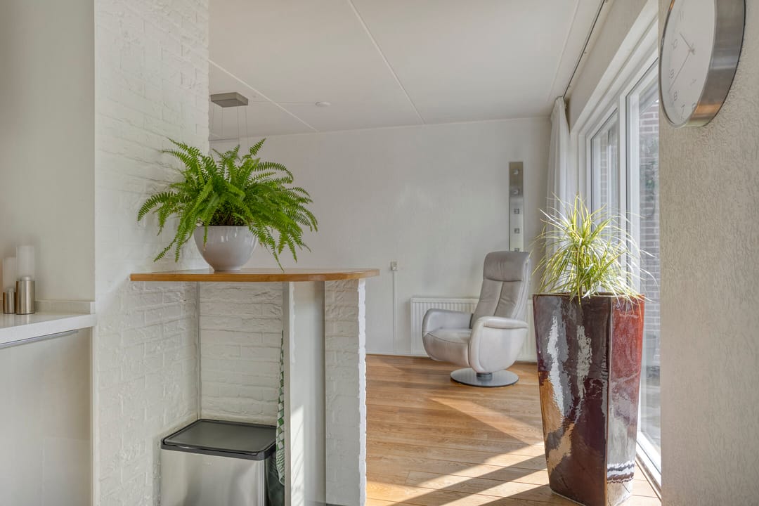 Photo 13 of Wilgeroosje 42