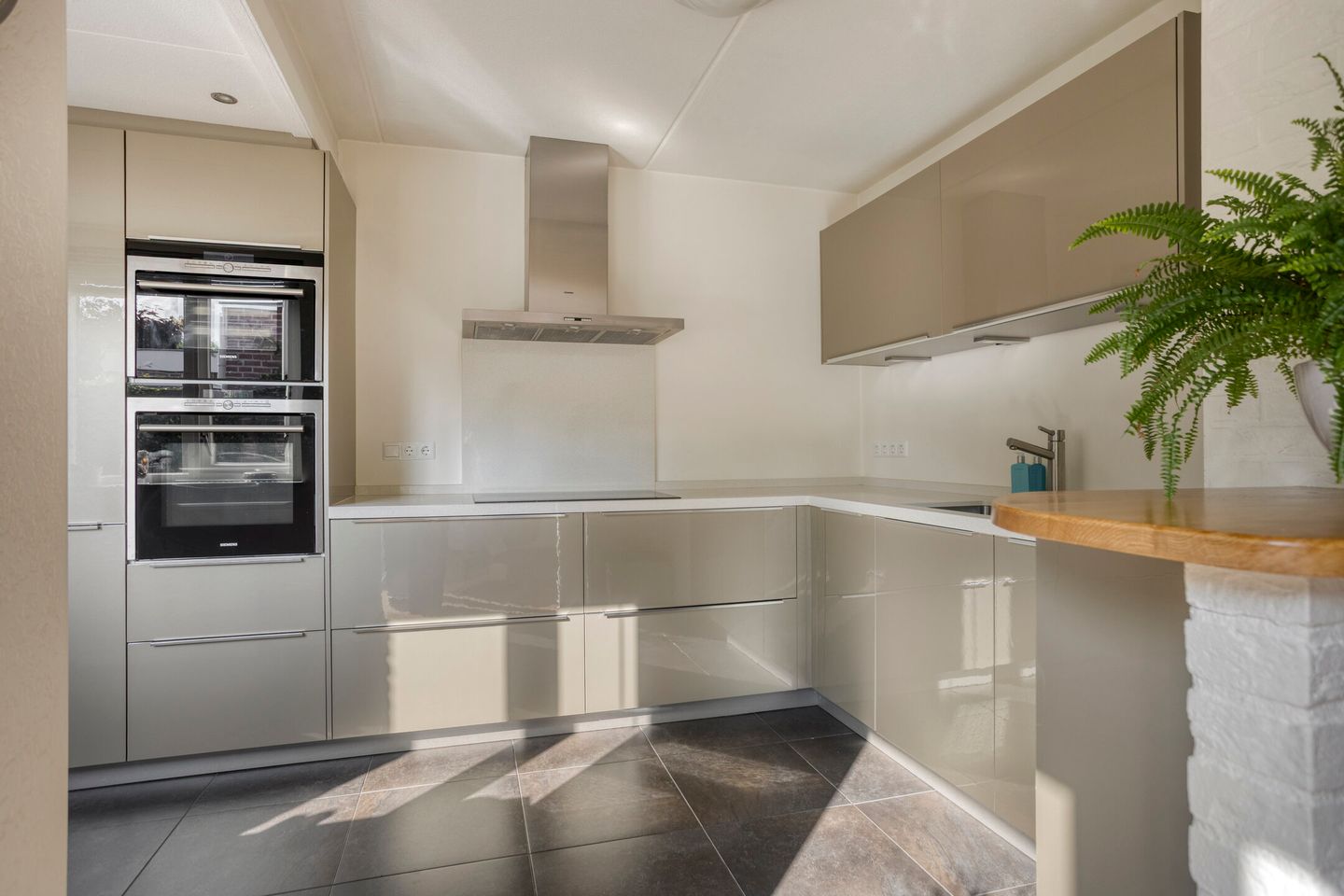 Photo 14 of Wilgeroosje 42