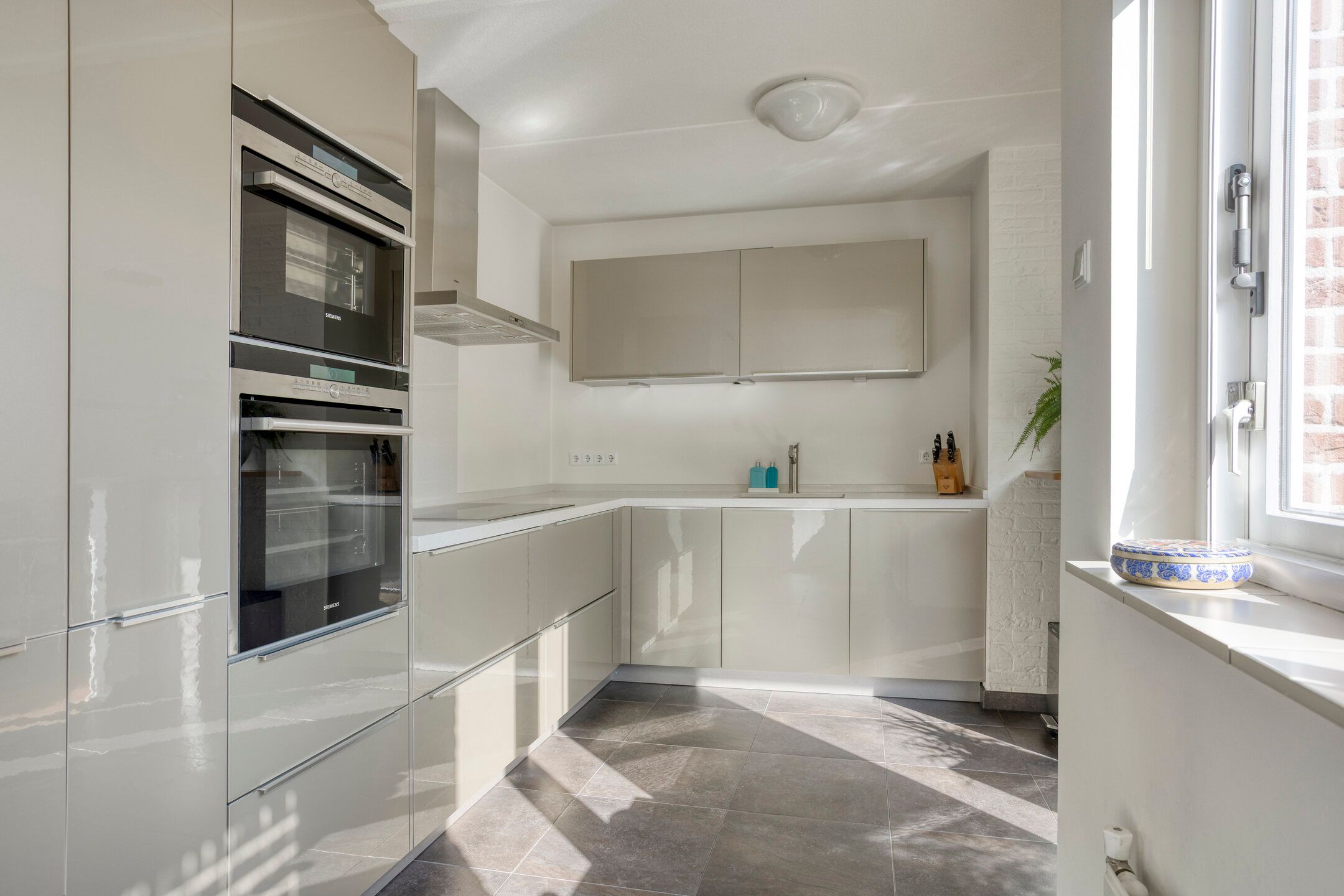 Photo 15 of Wilgeroosje 42