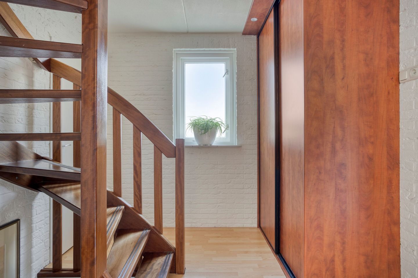 Photo 20 of Wilgeroosje 42