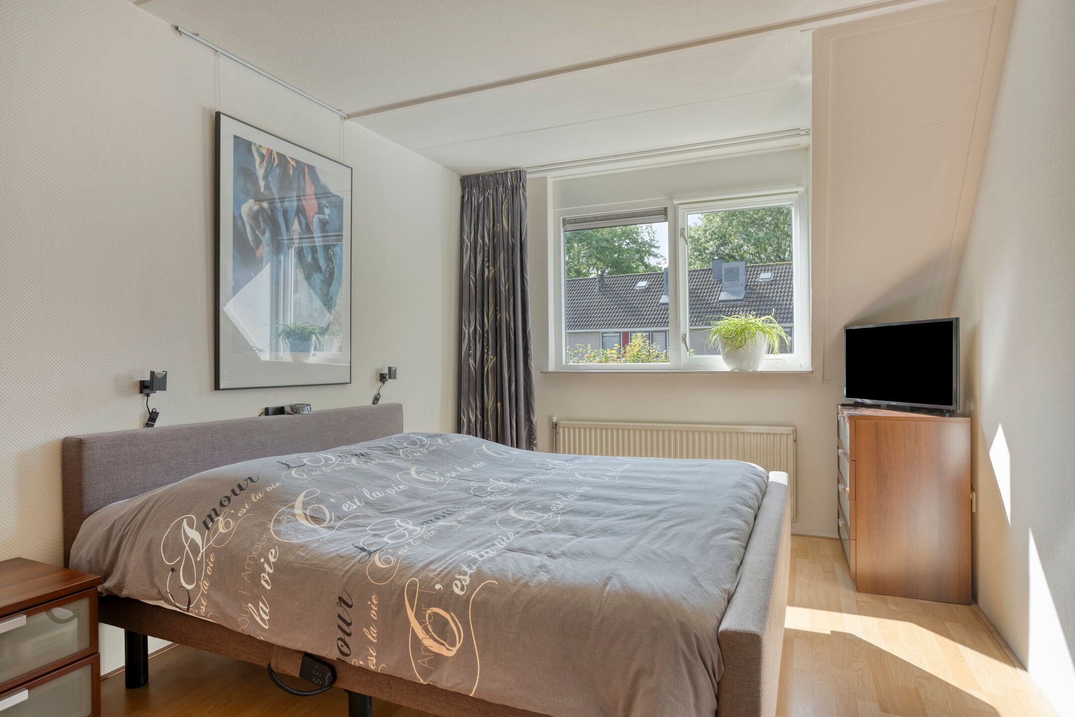 Photo 21 of Wilgeroosje 42