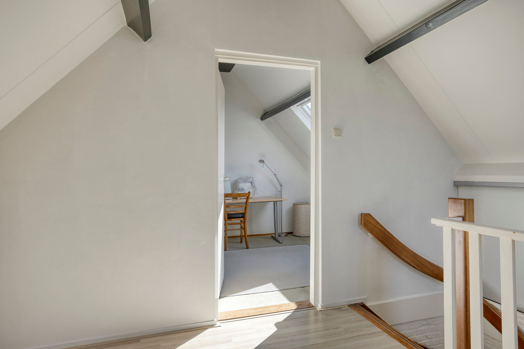 Photo 30 of Wilgeroosje 42