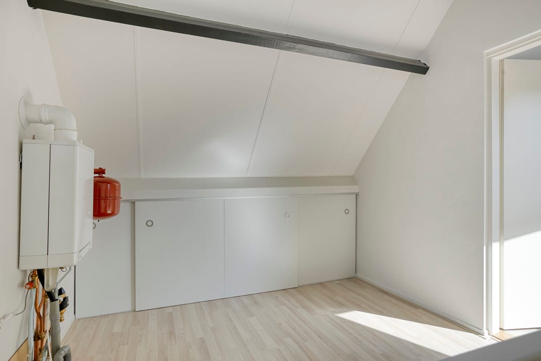 Photo 31 of Wilgeroosje 42