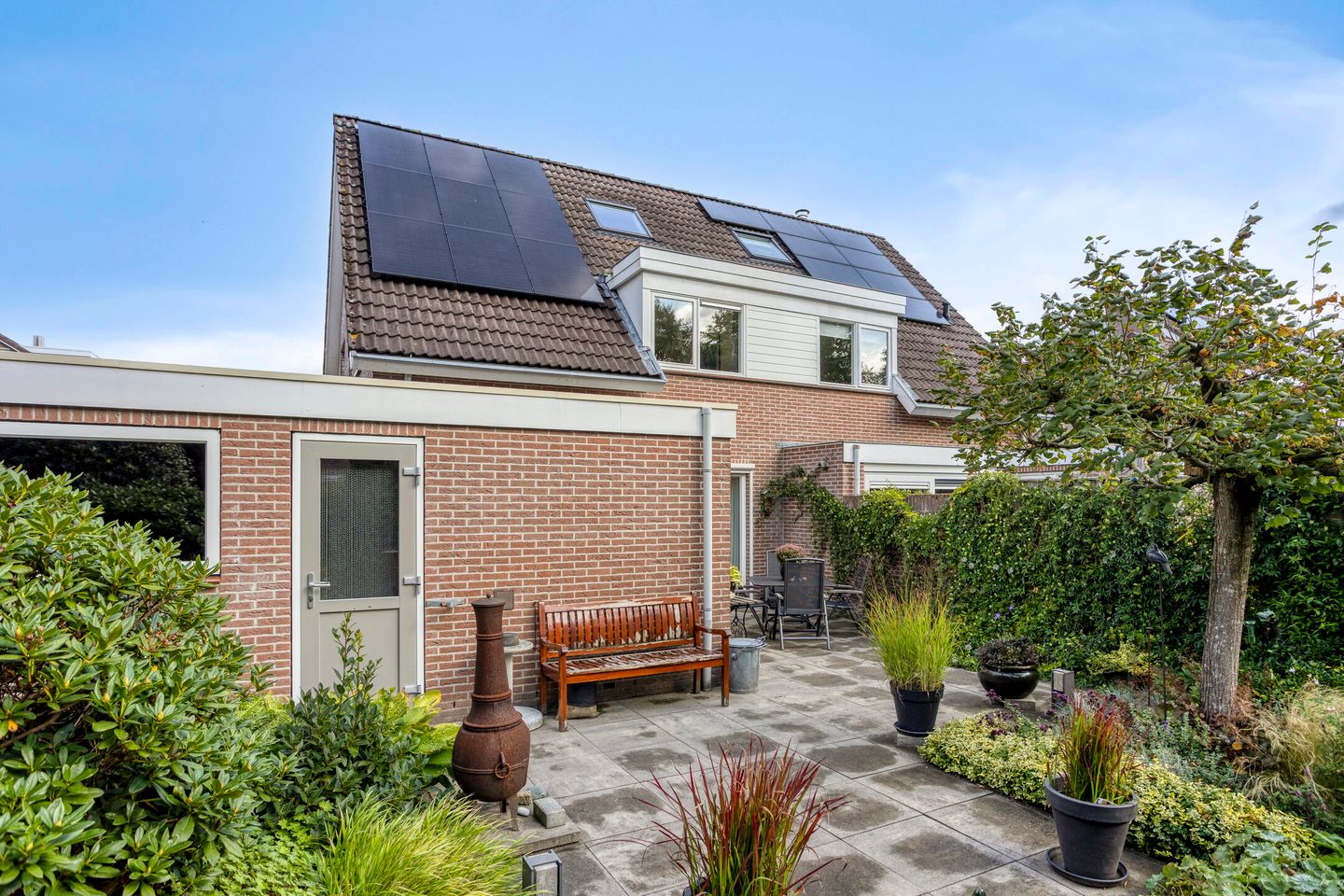 Photo 34 of Wilgeroosje 42