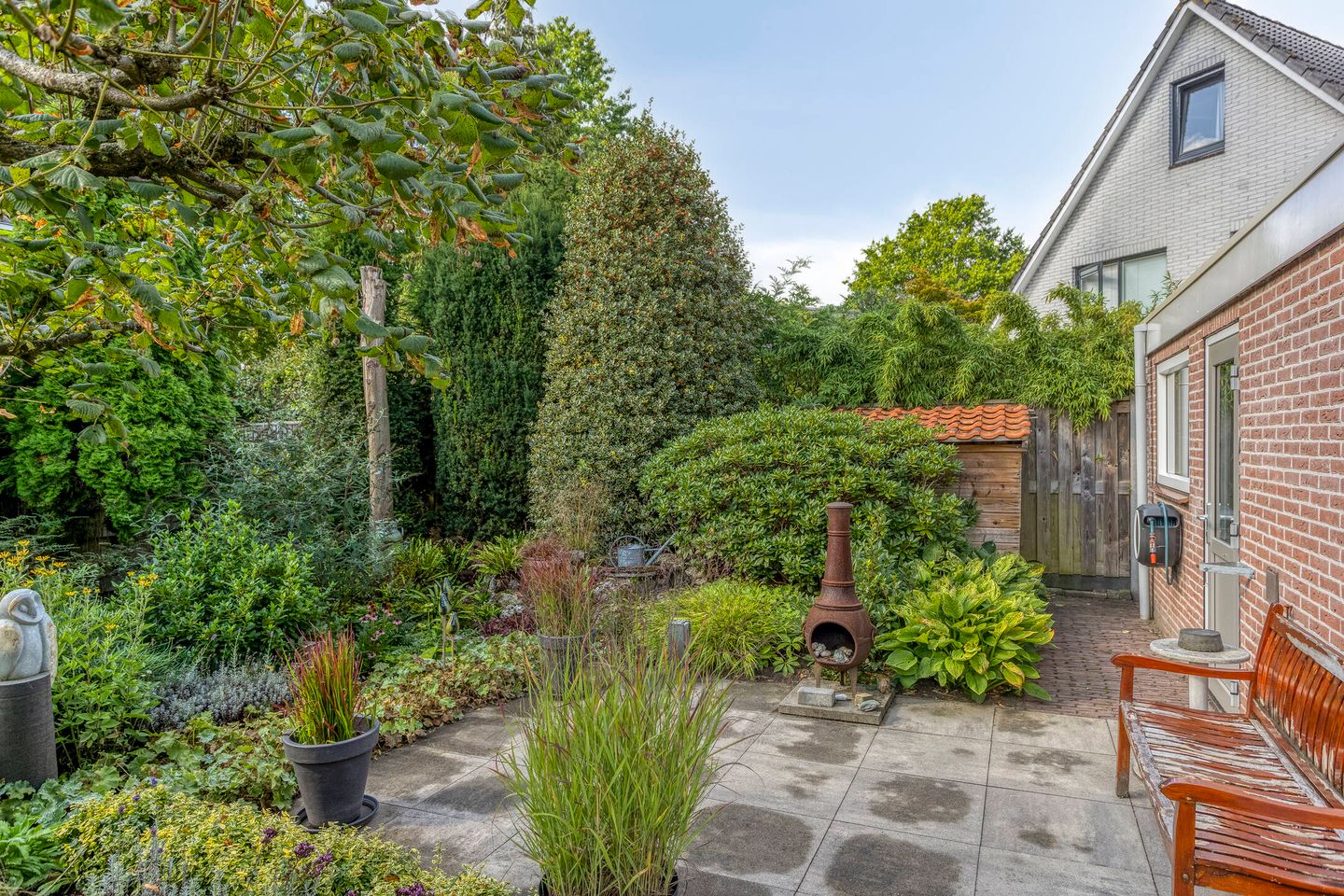 Photo 35 of Wilgeroosje 42