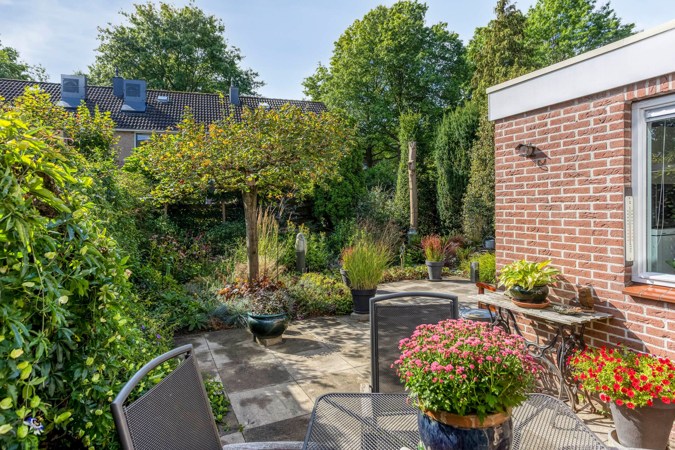 Photo 36 of Wilgeroosje 42