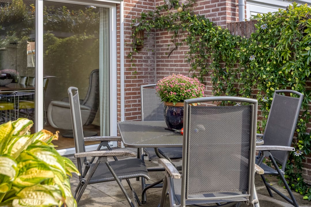 Photo 37 of Wilgeroosje 42