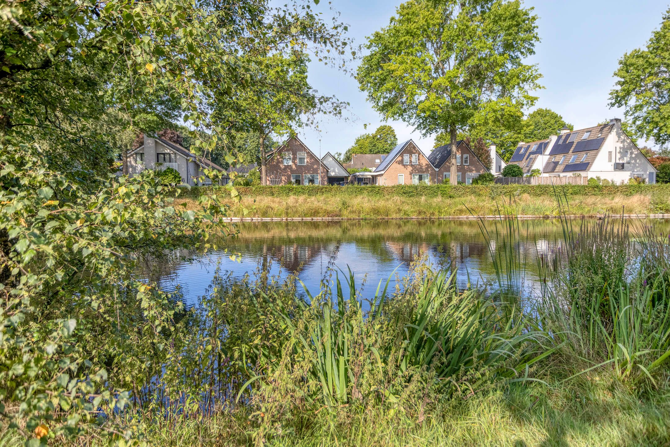 Photo 39 of Wilgeroosje 42