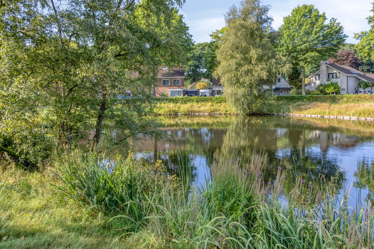 Photo 40 of Wilgeroosje 42