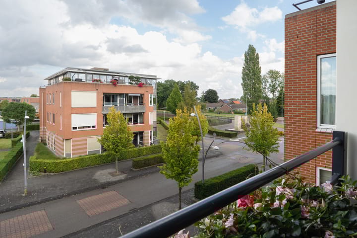 Foto 5 van Lobeliastraat 31