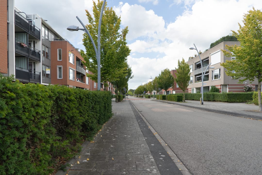 Foto 38 van Lobeliastraat 31