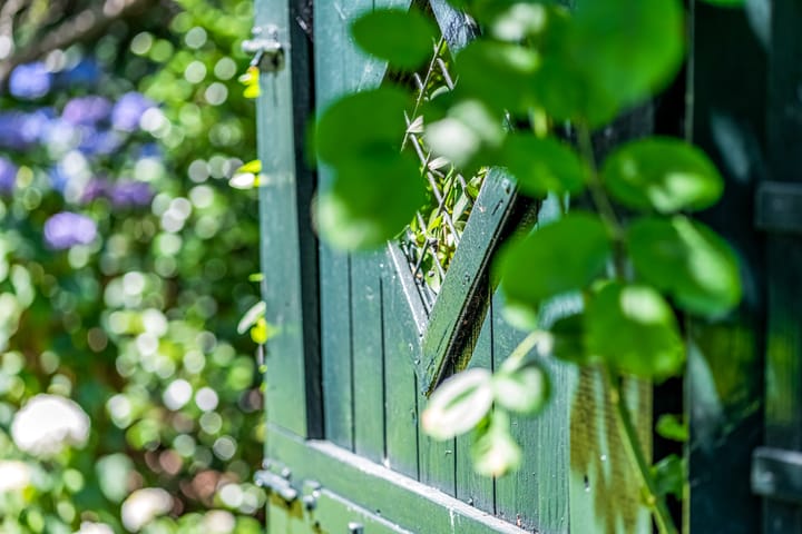 Foto 47 van Nieuwe Steeg 53