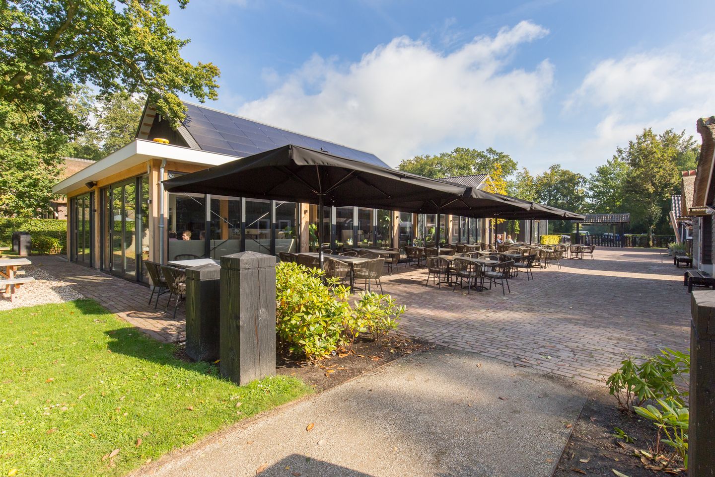 Foto 44 van Lobeliastraat 31